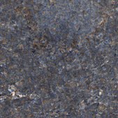 Anti-SLC4A2 antibody produced in rabbit Prestige Antibodies® Powered by Atlas Antibodies, affinity isolated antibody, buffered aqueous glycerol solution