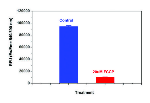 Mitochondrion Membrane Potential Kit sufficient for 500 fluorometric&nbsp;tests (orange fluorescence, microplate readers)