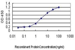 Monoclonal Anti-NFYB antibody produced in mouse clone 6E4, purified immunoglobulin, buffered aqueous solution
