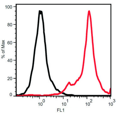 Monoclonal Anti-STRO-1 antibody produced in mouse clone STRO-1, purified immunoglobulin, buffered aqueous solution