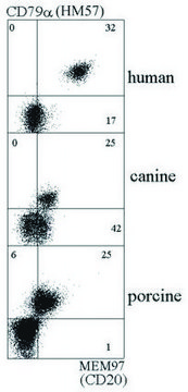 Monoclonal Anti-CD79A antibody produced in mouse clone HM47, purified immunoglobulin, buffered aqueous solution