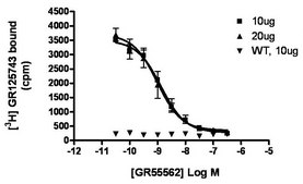 ChemiSCREEN Membrane Preparation Recombinant Human 5-HT1B Serotonin Receptor Human 5-HT1B GPCR membrane preparation for Radioligand binding Assays &amp; GTPγS binding.