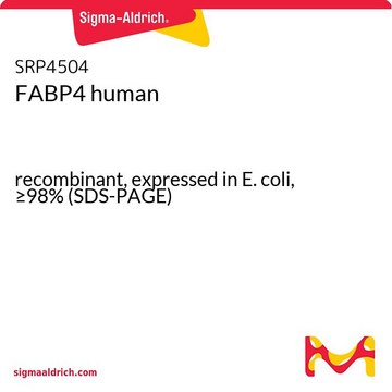 FABP4 human recombinant, expressed in E. coli, &#8805;98% (SDS-PAGE)