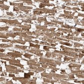 抗 FYCO1 兔抗 Prestige Antibodies® Powered by Atlas Antibodies, affinity isolated antibody, buffered aqueous glycerol solution