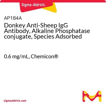 Donkey Anti-Sheep IgG Antibody, Alkaline Phosphatase conjugate, Species Adsorbed 0.6&#160;mg/mL, Chemicon&#174;