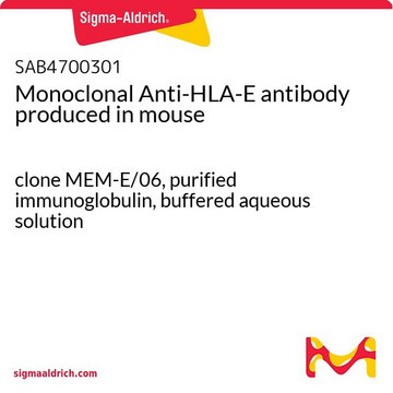 Monoclonal Anti-HLA-E antibody produced in mouse clone MEM-E/06, purified immunoglobulin, buffered aqueous solution