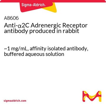 Anti-&#945;2C Adrenergic Receptor antibody produced in rabbit ~1&#160;mg/mL, affinity isolated antibody, buffered aqueous solution