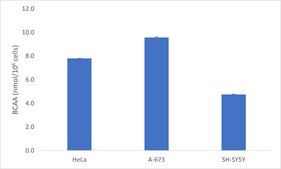 Branched Chain Amino Acid Kit sufficient for 100 colorimetric&nbsp;tests