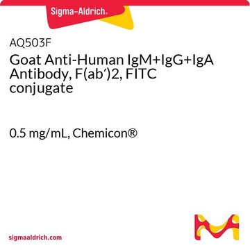 Goat Anti-Human IgM+IgG+IgA Antibody, F(ab&#8242;)2, FITC conjugate 0.5&#160;mg/mL, Chemicon&#174;