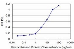 ANTI-PHF1 antibody produced in mouse clone 4F5, purified immunoglobulin, buffered aqueous solution