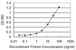 Monoclonal Anti-PLSCR3 antibody produced in mouse clone 4D11, purified immunoglobulin, buffered aqueous solution