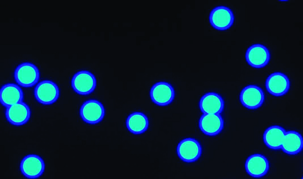 Micro particles based on polymethacrylate analytical standard, size: 60 &#956;m