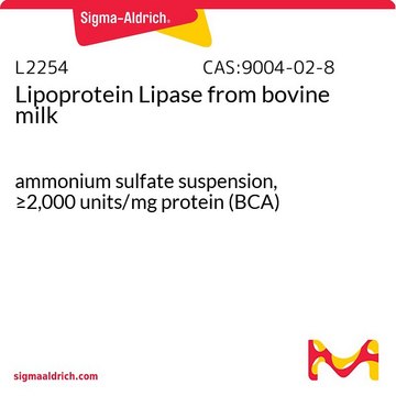 Lipoprotein Lipase from bovine milk ammonium sulfate suspension, &#8805;2,000&#160;units/mg protein (BCA)