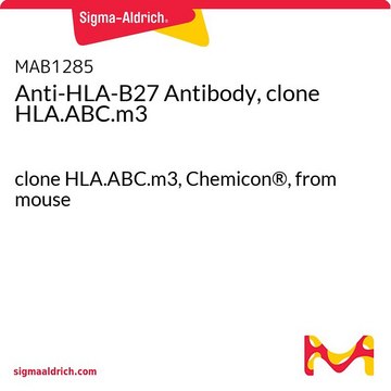 抗HLA-B27抗体，克隆HLA.ABC.M3 clone HLA.ABC.m3, Chemicon&#174;, from mouse