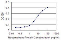 Monoclonal Anti-MAPK13 antibody produced in mouse clone 1E6, purified immunoglobulin, buffered aqueous solution