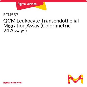 QCM Leukocyte Transendothelial Migration Assay (Colorimetric, 24 Assays)