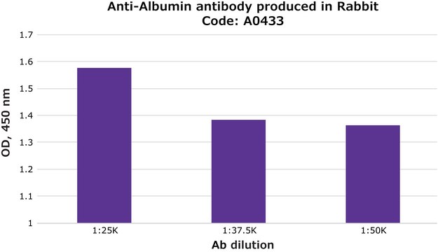 抗-白蛋白 兔抗 IgG fraction of antiserum