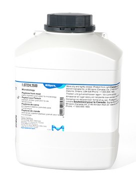 Peptone from meat peptic digested, granulated, suitable for microbiology