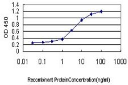 Monoclonal Anti-ITGA7 antibody produced in mouse clone 8G2, purified immunoglobulin, buffered aqueous solution