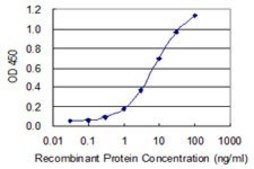 Monoclonal Anti-ZDHHC8 antibody produced in mouse clone 1G8, purified immunoglobulin, buffered aqueous solution