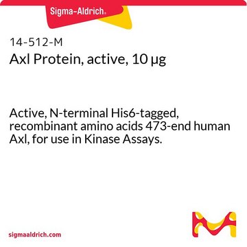 Axl Protein, active, 10 &#181;g Active, N-terminal His6-tagged, recombinant amino acids 473-end human Axl, for use in Kinase Assays.