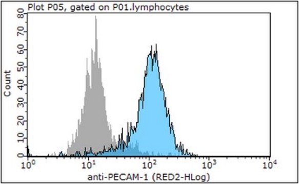 Anti-PECAM-1 Antibody, clone P2B1 (Ascites Free) clone P2B1, 1&#160;mg/mL, from mouse