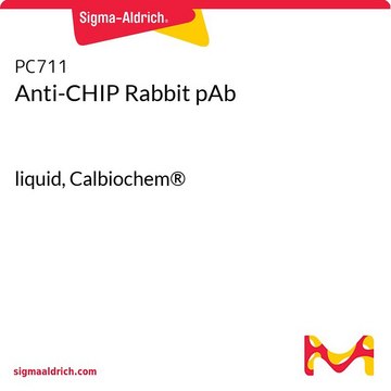 Anti-CHIP Rabbit pAb liquid, Calbiochem&#174;