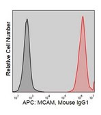 Anti-Human MCAM/CD146 (P1H12) ColorWheel® Dye-Ready mAb