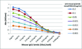 Anti-Mouse Ig Lamda Light Chain antibody, Rabbit monoclonal recombinant, expressed in HEK 293 cells, clone RM110, purified immunoglobulin