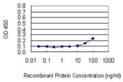 Monoclonal Anti-PRLR antibody produced in mouse clone 1E4, purified immunoglobulin, buffered aqueous solution