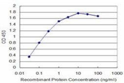 Monoclonal Anti-TAOK3 antibody produced in mouse clone 1D8, purified immunoglobulin, buffered aqueous solution