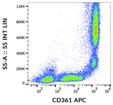 Monoclonal Anti-CD361 antibody produced in mouse clone MEM-216