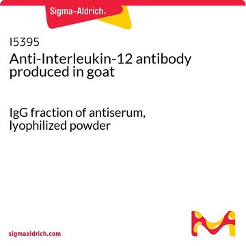 Anti-Interleukin-12 antibody produced in goat IgG fraction of antiserum, lyophilized powder