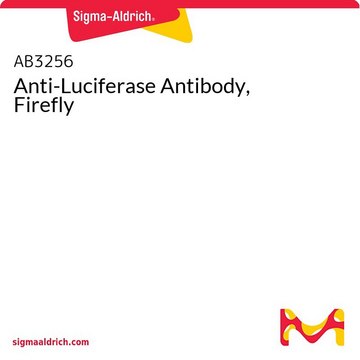 Anti-Luciferase Antibody, Firefly