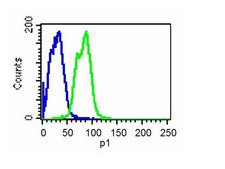 MAPK Pathway 1 Explorer Antibody MiniPack clone AW39R, 1 mg/mL (05-538SP), Upstate®