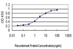 Monoclonal Anti-F12 antibody produced in mouse clone 3A3, purified immunoglobulin, buffered aqueous solution