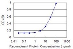 Monoclonal Anti-SLC25A16 antibody produced in mouse clone 1H7, purified immunoglobulin, buffered aqueous solution