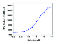 Fluorometric Intracellular pH Assay Kit sufficient for 1000 fluorometric&nbsp;tests