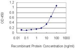Monoclonal Anti-HOXB13 antibody produced in mouse clone 1E9, purified immunoglobulin, buffered aqueous solution