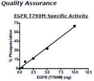 EGFR (T790M) Active human recombinant, expressed in baculovirus infected insect cells, ≥70% (SDS-PAGE)