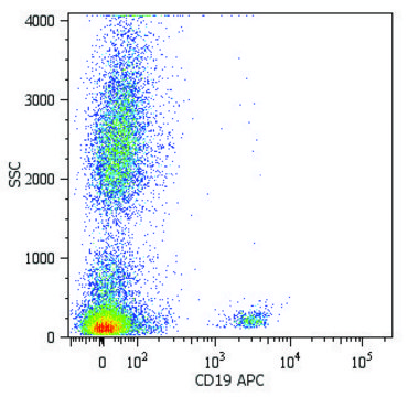 Monoclonal Anti-CD19-APC antibody produced in mouse clone LT19, purified immunoglobulin, buffered aqueous solution