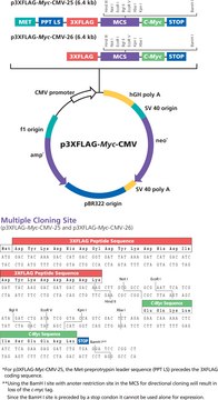 p3xFLAG-Myc-CMV&#8482;-25 Expression Vector Shuttle vector for transient or stable expression of secreted dual tagged N-terminal 3xFLAG and C-terminal c-myc fusion proteins