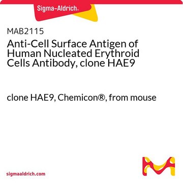 Anti-Cell Surface Antigen of Human Nucleated Erythroid Cells Antibody, clone HAE9 clone HAE9, Chemicon&#174;, from mouse