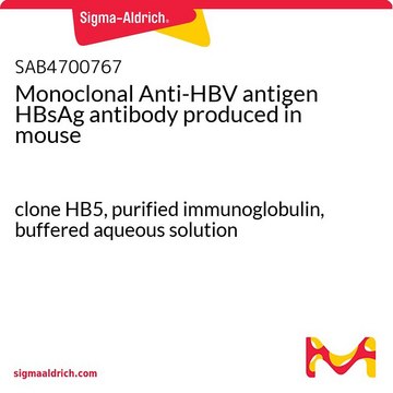 Monoclonal Anti-HBV antigen HBsAg antibody produced in mouse clone HB5, purified immunoglobulin, buffered aqueous solution