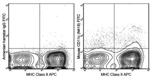 Anti-CD11c Antibody (mouse), FITC, clone N418 clone N418, 0.5&#160;mg/mL, from hamster(Armenian)