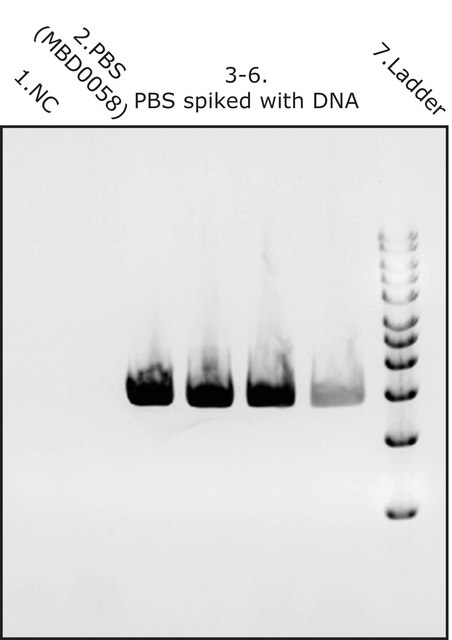 Phosphate Buffered Saline DNase free, microbial DNA free, 1X solution, pH 7.5