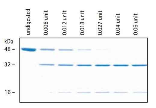 Enterokinase Cleavage Capture Kit