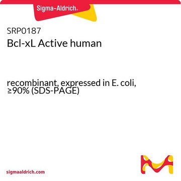 Bcl-xL Active human recombinant, expressed in E. coli, &#8805;90% (SDS-PAGE)