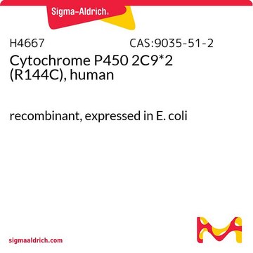 Cytochrome P450 2C9*2 (R144C), human recombinant, expressed in E. coli