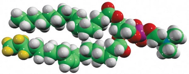 15:0-18:1-d7-PC Avanti Polar Lipids